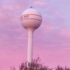 Meet your Posher, Rex